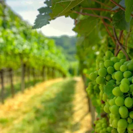 Panoramablick Konukevi 3*