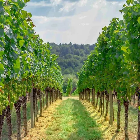 Panoramablick Durbach