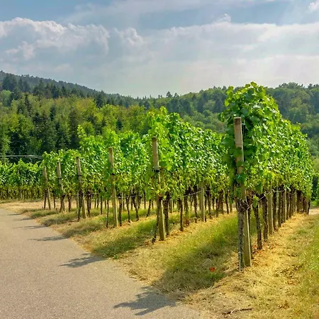 Panoramablick Konukevi Durbach