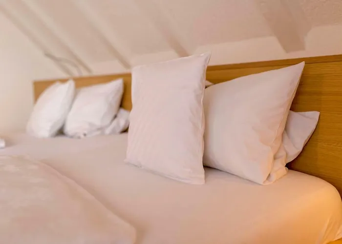 ゲストハウス Panoramablick 3*