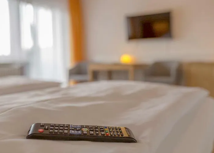 ゲストハウス Panoramablick 3*