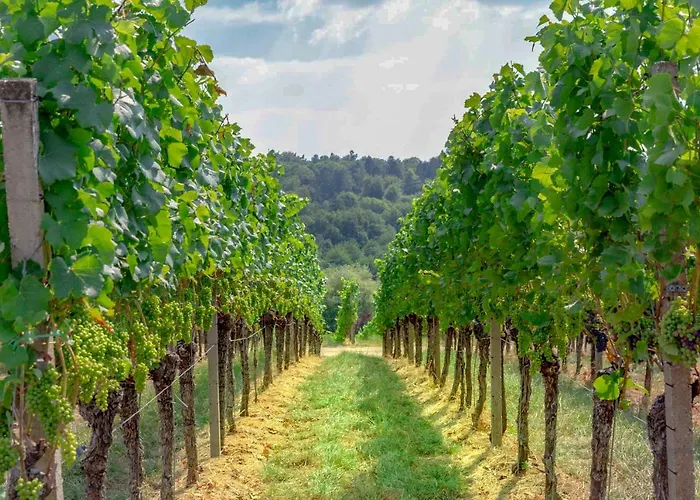 Panoramablick ドゥルバッハ