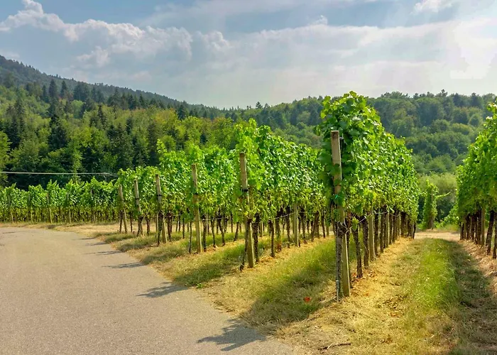 Panoramablick ゲストハウス ドゥルバッハ